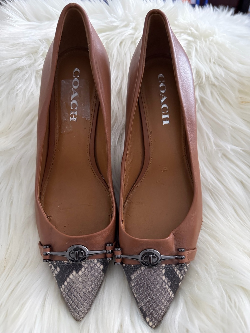 COACH Brown Leather Pointed-Toe Heels with Snakeskin Accent